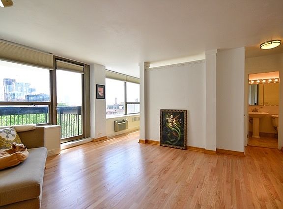4th image of 1460 N Sandburg Ter APT 707A