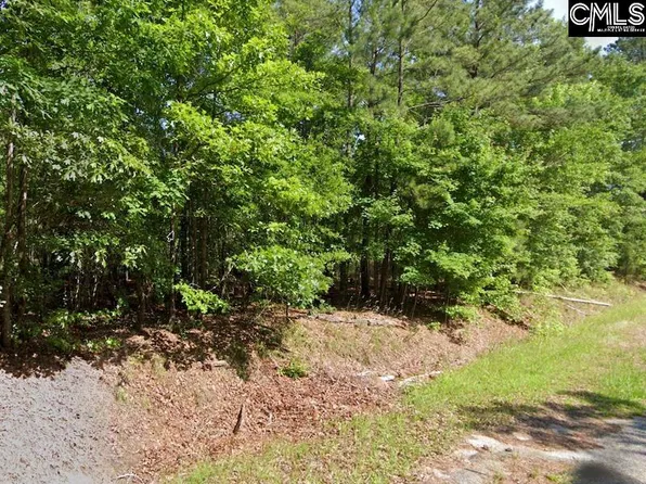 1001 Robinson Rd, Ridgeway, SC 29130