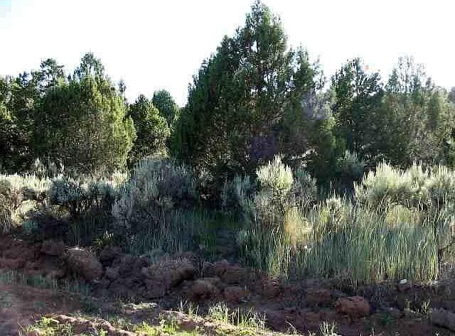 1st image of LOT 10 Juniper Dr