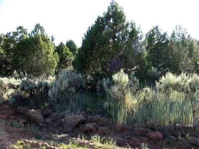 LOT 10 Juniper Dr, Norwood, CO, 81423