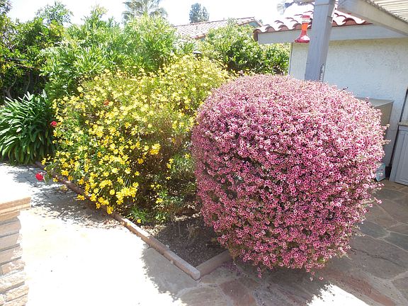 Beautiful landscaping