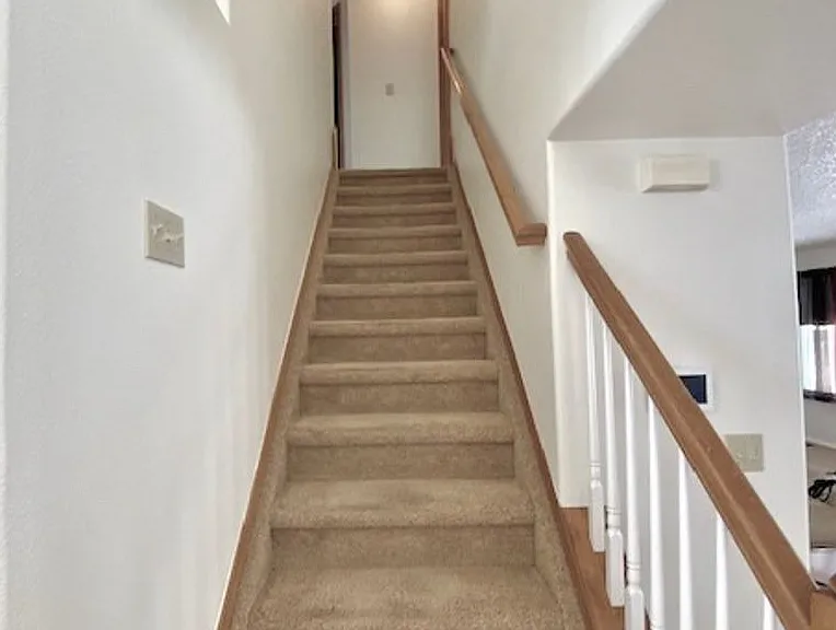 8065 Vectra Dr — Photo 19