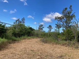 5th image of Princess Kaiulani Blvd Lot 24