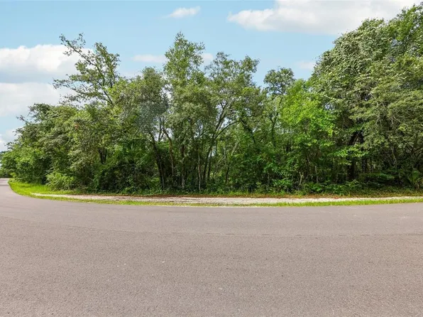 33340 Tombstone St #1, Webster, FL 33597