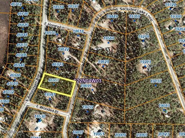 46957 S Amundsen Ave, Talkeetna, AK 99676
