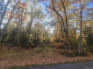 Dukes Rd, Skandia, MI 49885