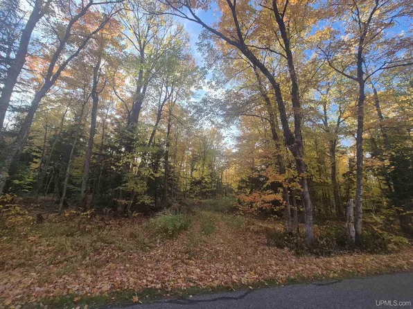 Dukes Rd, Skandia, MI 49885