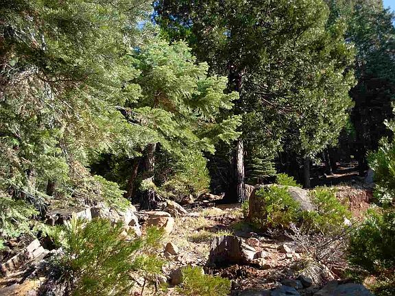 4th image of 756 Lassen View Dr