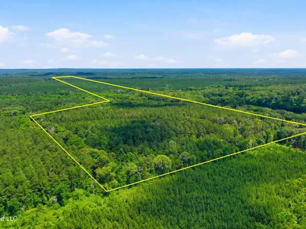 Blackwell Dr, Forest, MS 39074