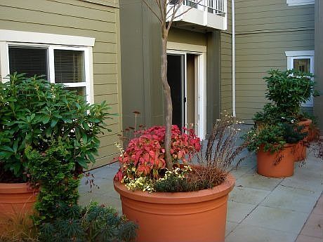 Your own Courtyard Patio
