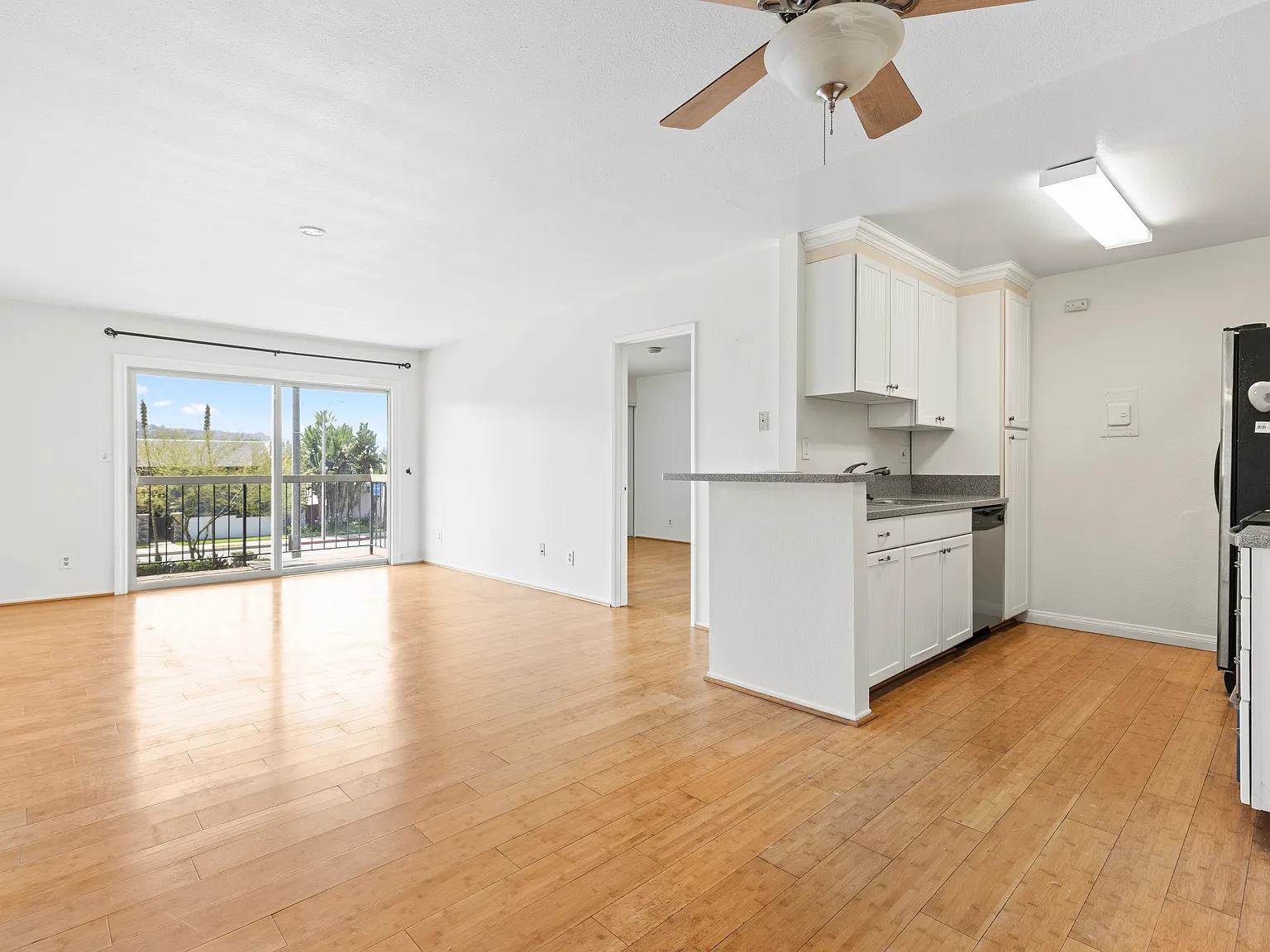 2 bed, 868 sqft, $2,250 — Photo 4
