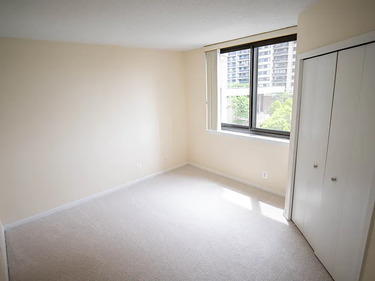 5505 Seminary Rd #316N — Photo 57