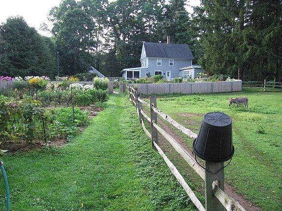 Vegetable Garden and Paddock