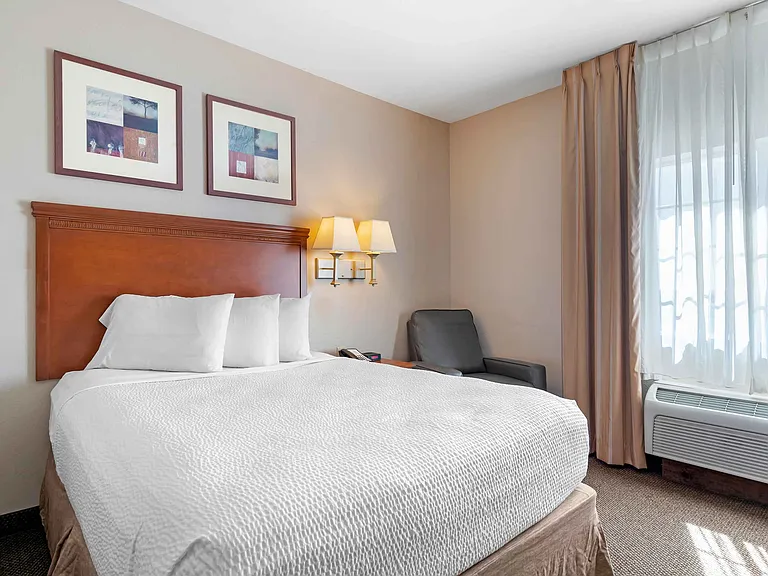 Studio Suite - 1 Queen Bed