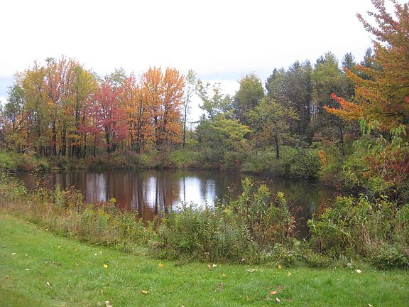 The pond is always changing