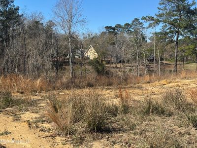 Maluhia Dr Lot 20, Diamondhead, MS, 39525