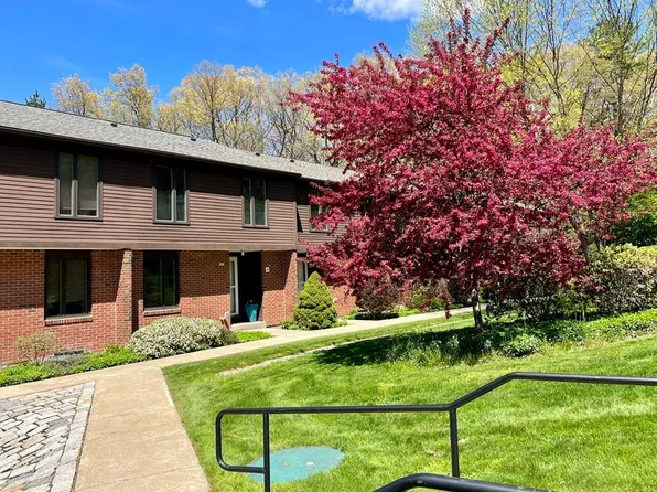 8 Emerson Ct, Amherst, MA 01002