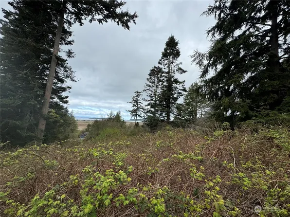 1111111 S Halsey Drive, Coupeville, WA 98239