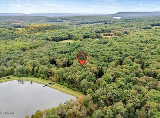 1116 Creek Dr #704, Kunkletown, PA 18058