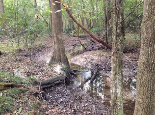 1700 Turpentine Still Rd, Brunson, SC 29911