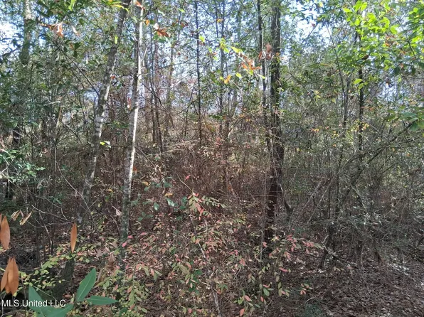 Whale Ave Lot 1, Bay Saint Louis, MS 39520