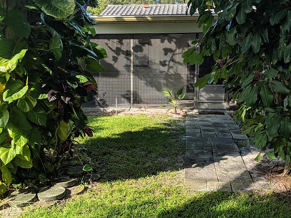 Back yard