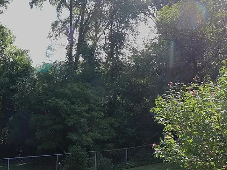 Southview Dr — Photo 10