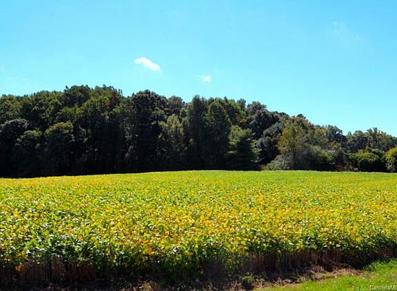 5th image of 1828 Mecklenburg Hwy