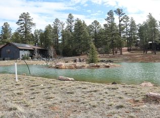 S Torreon Lakes Dr, Show Low, AZ 85901