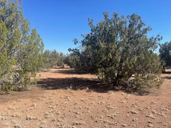 31718 W Bluebonnet Ln, Seligman, AZ 86337