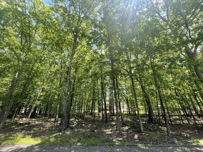 Gingerbread Ln, East Stroudsburg, PA, 18302