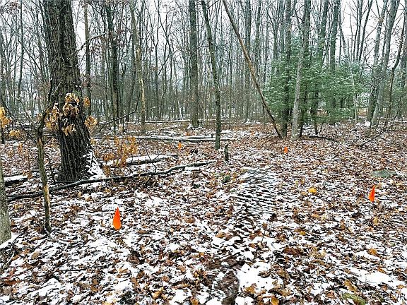3rd image of Mill Run Dr