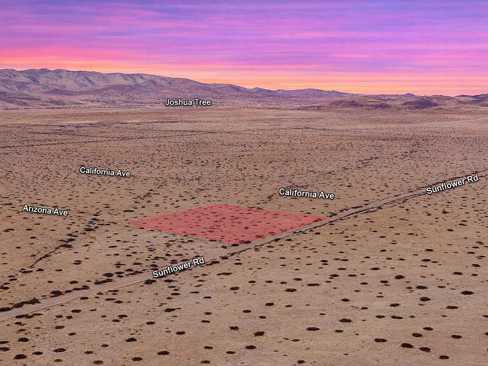 1st image of Arizona Avenue