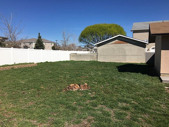 large back yard