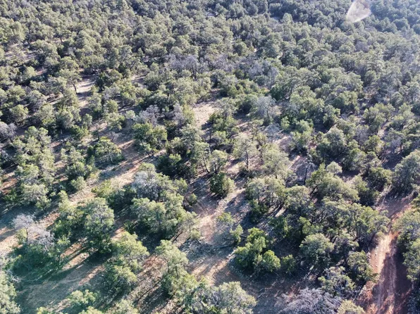 Clements Loop, Ramah, NM 87321