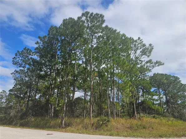 1147 WILDFLOWER STREET LOT 19, LAKE PLACID, FL 33852