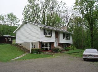 75 Old Cemetery Ln, Millerton, PA 16936