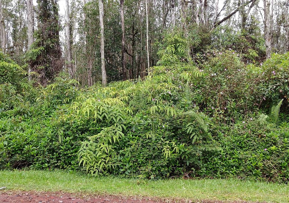 1st image of Hibiscus Dr Lot 76