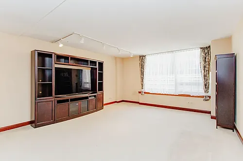 233 E Erie St #1305 Photo 1