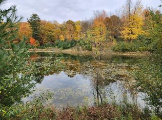 8514 Blackberry Ct, Stanwood, MI 49346