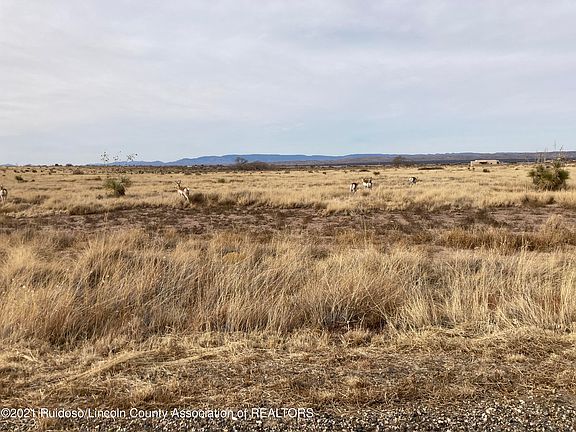 5th image of 109 Carbide Ln