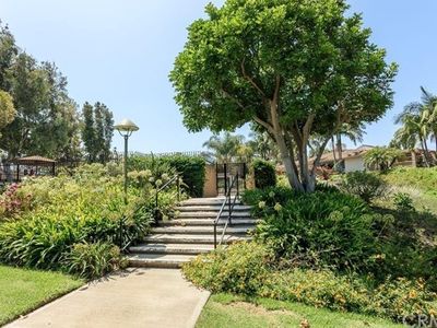 11 Eucalyptus, Irvine, CA, 92612