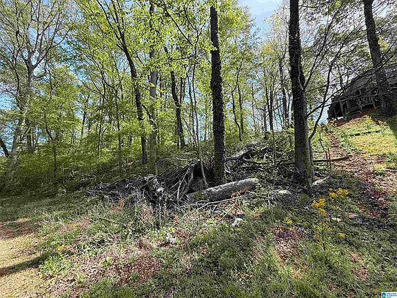 4th image of 4 Dogwood Rd #4