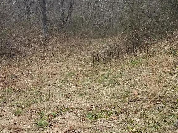 2nd image of 1439 Hwy 25w S