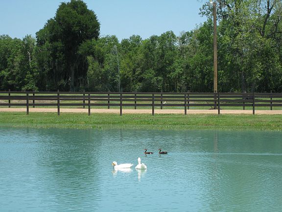 4th image of 201 Cypress Lakes Cir #0