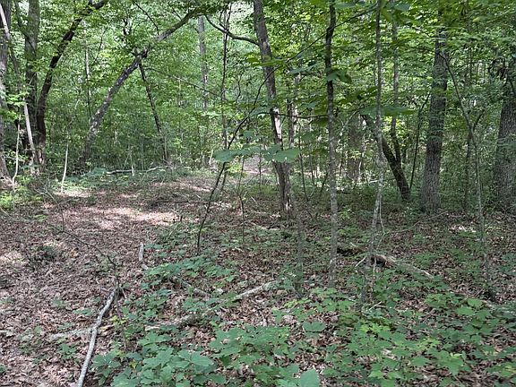 5th image of Clear Creek Rd