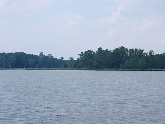 3rd image of 4477 Osprey Ln