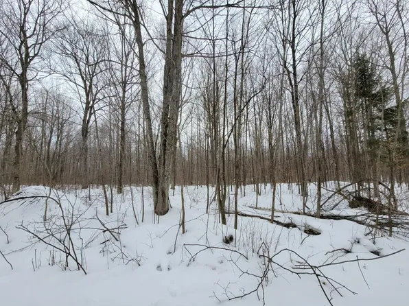 Near Cth #A, White Lake, WI 54491