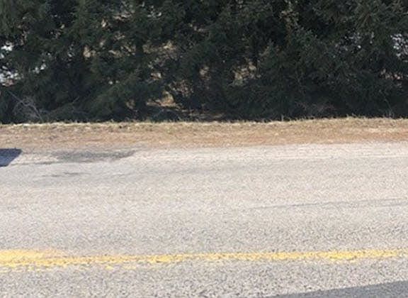 3rd image of 9077 Miller Rd