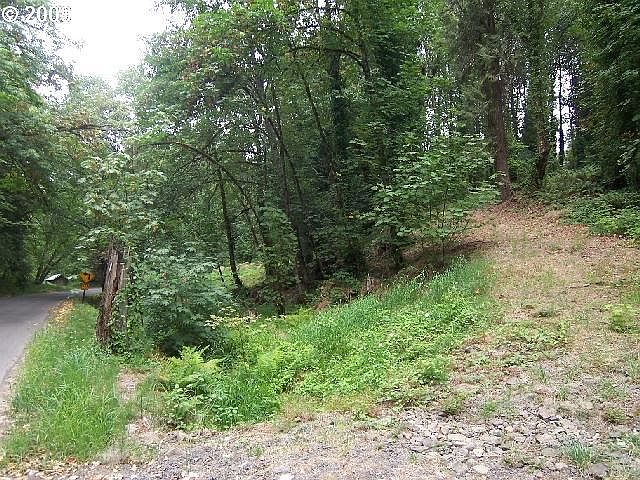 2nd image of 1973 Shadow Wood Dr